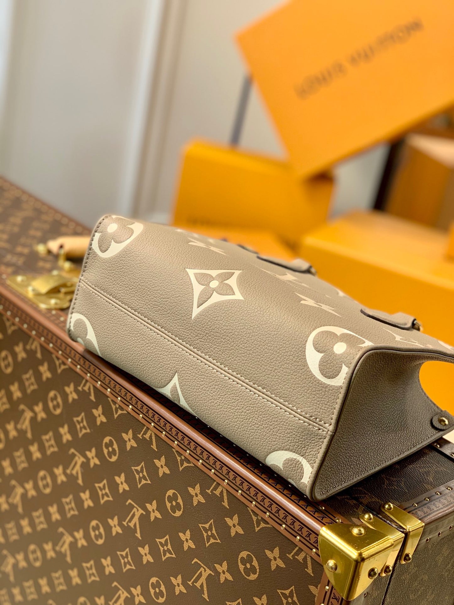 LOU ONTHEGO PM TOTE BAG