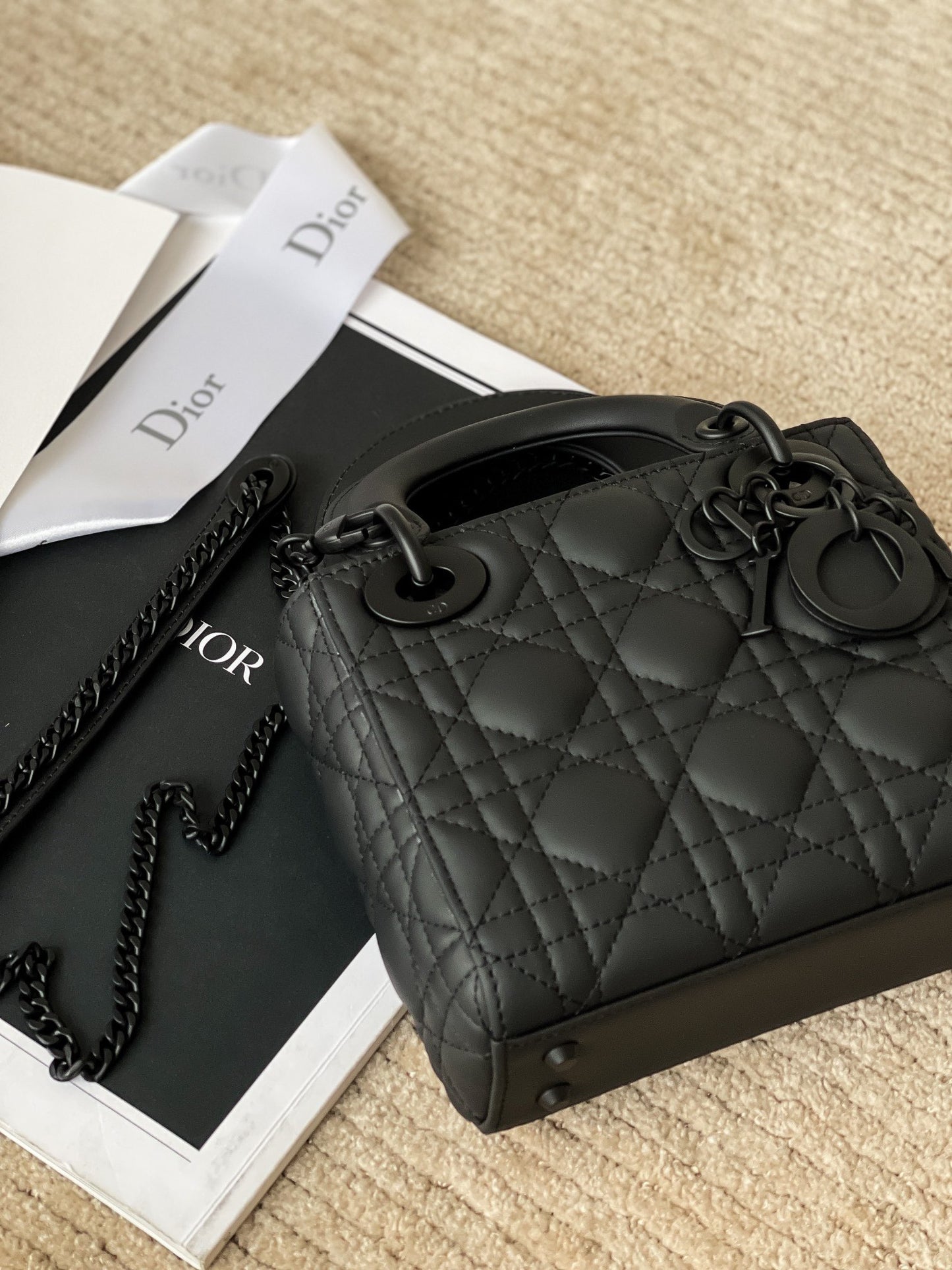 CD MINI LADY BAG