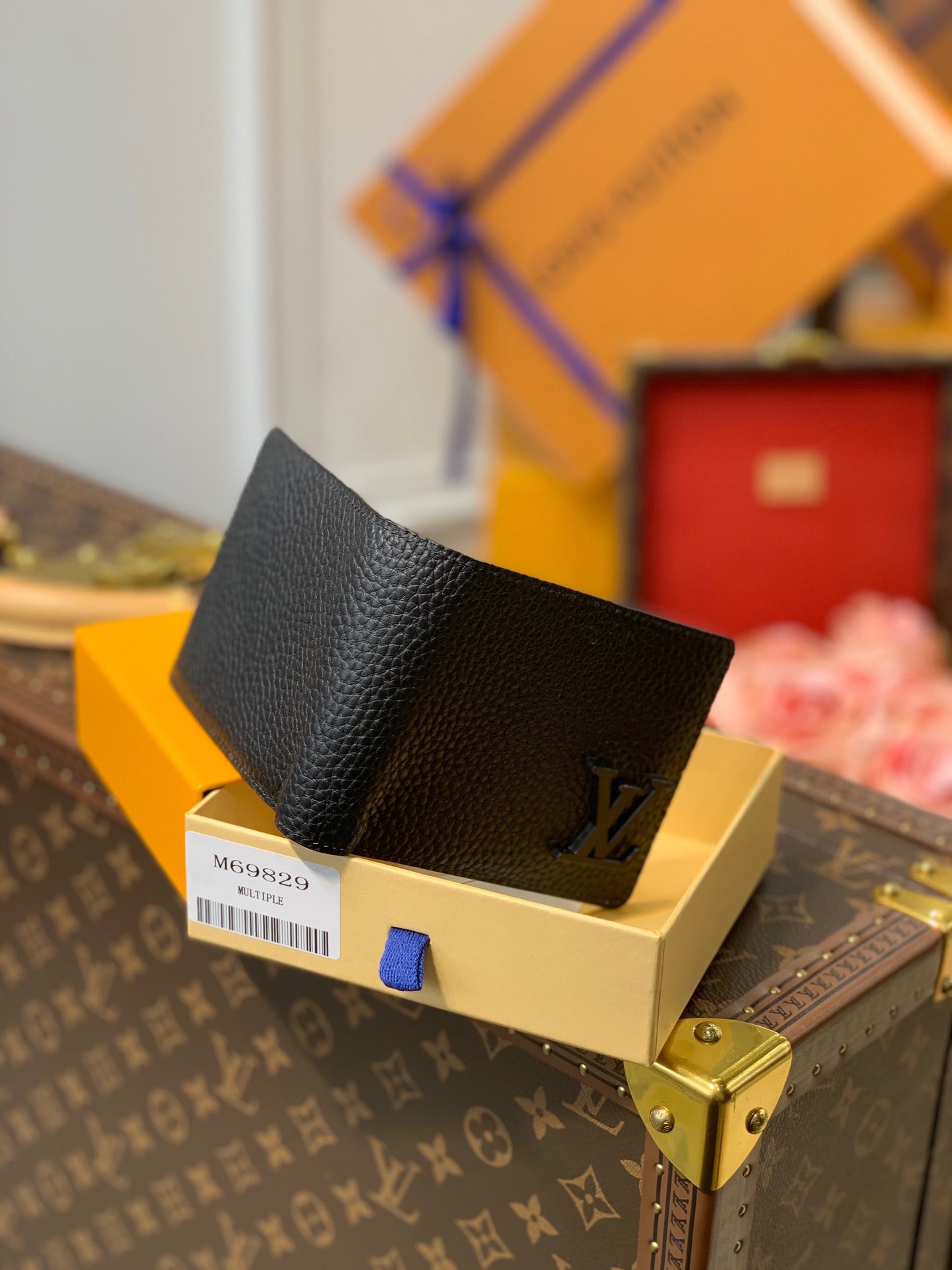 LOU AEROGRAM MULTIPLE WALLET