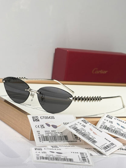 CARTIER SUNGLASSES