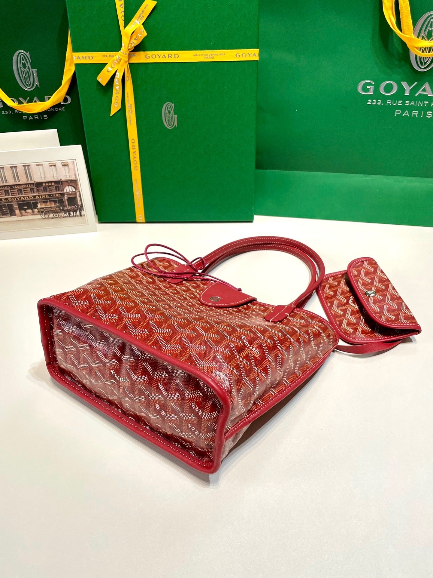 GOYA MINI ANJOU BAG