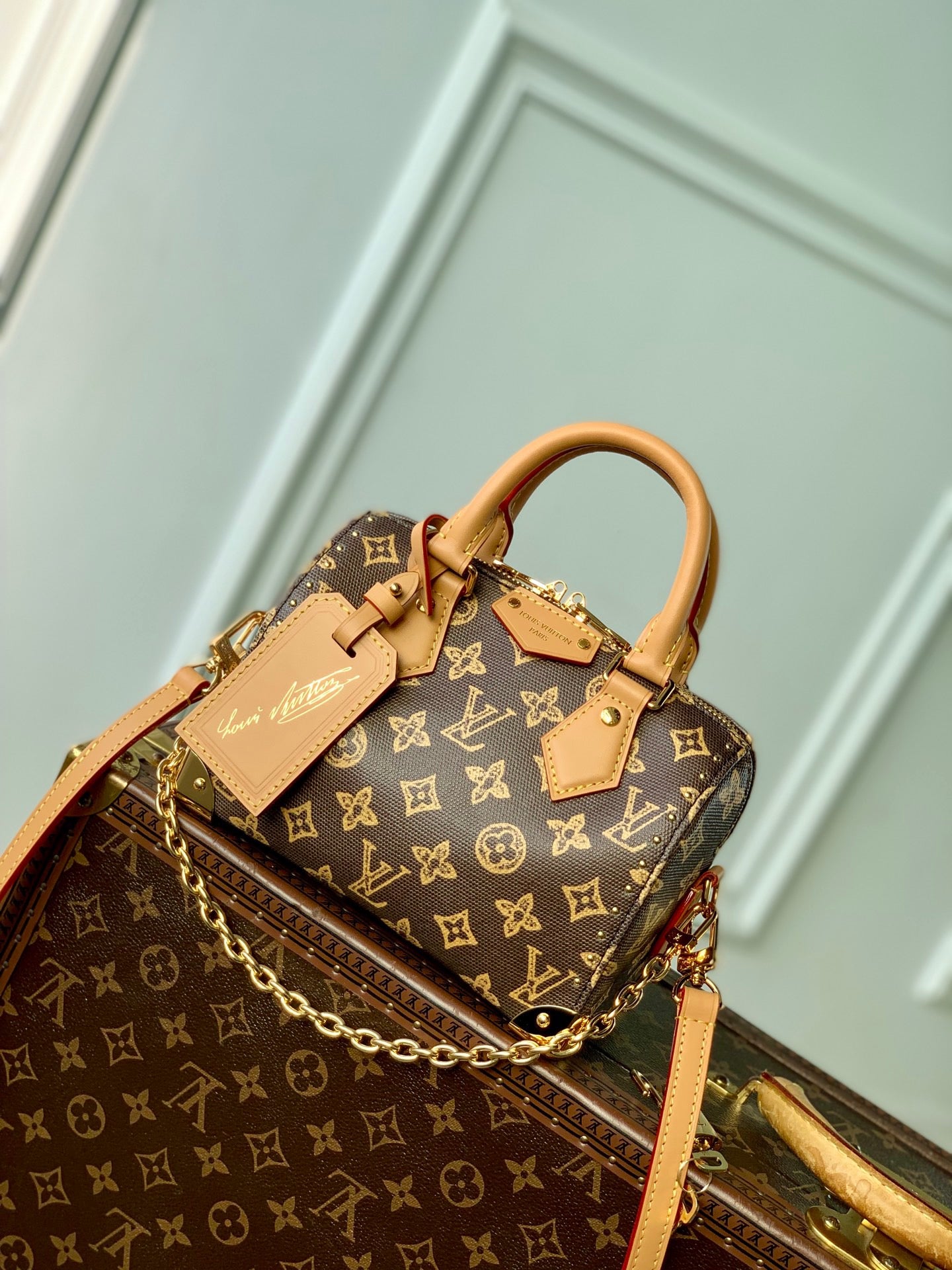 LOU SPEEDY TRUNK 20 BAG