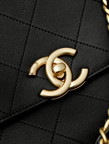 CC 25S MEDIUM BAG