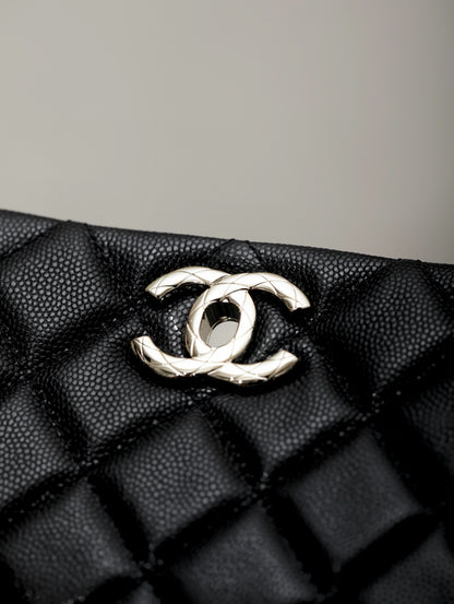 CC 25S BAG