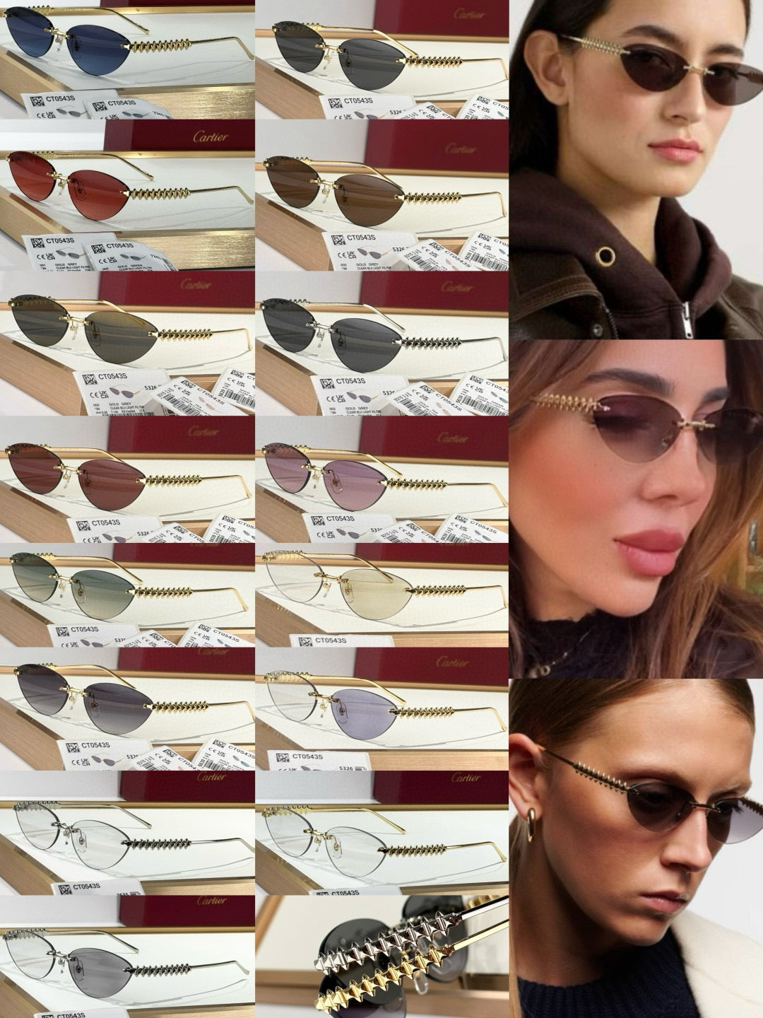 CARTIER SUNGLASSES