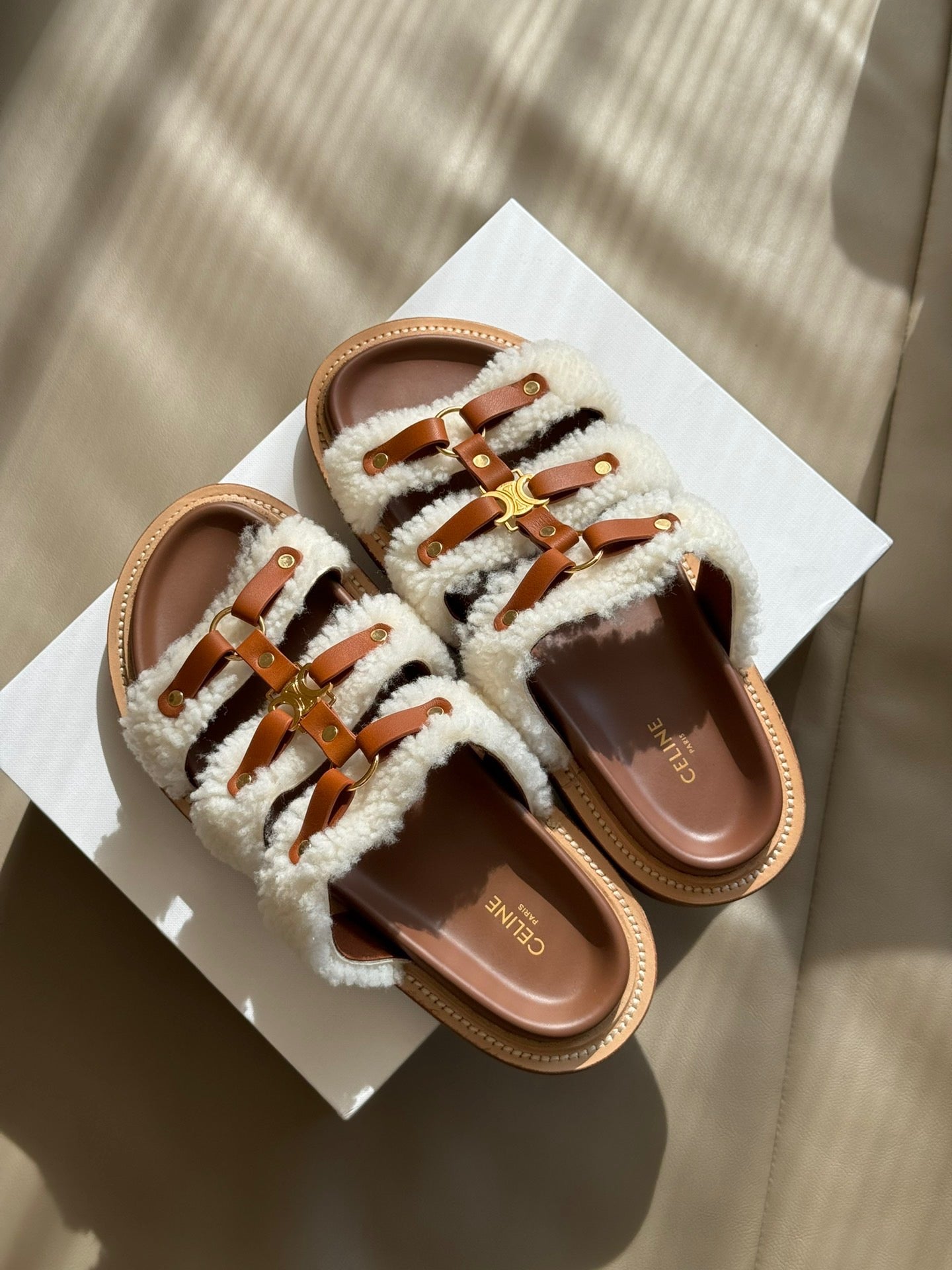 CEL SLIDES