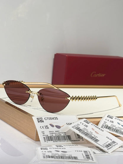 CARTIER SUNGLASSES