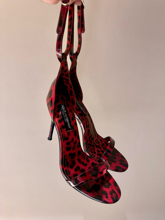 D&G HEELS