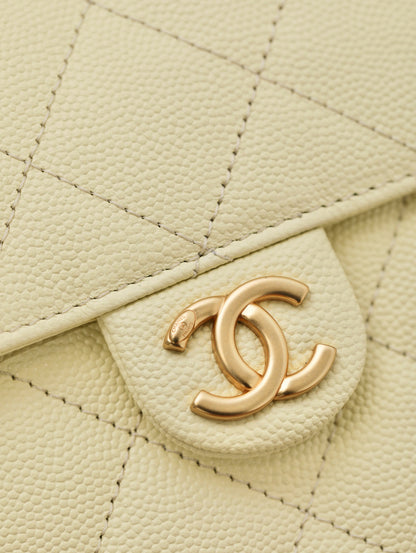CC 25C BAG