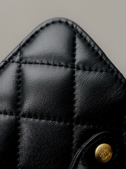 CC 25P BAG