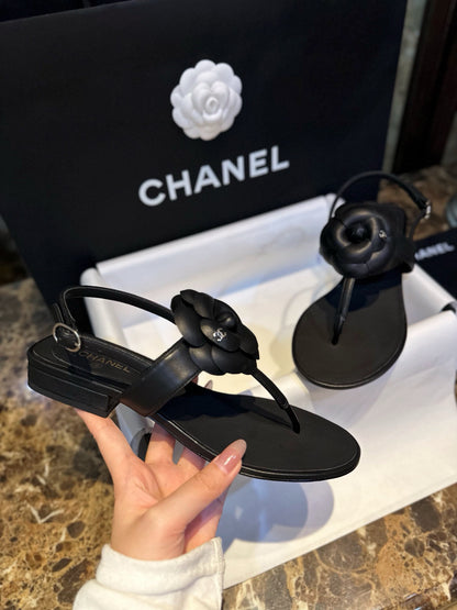 CC SANDALS