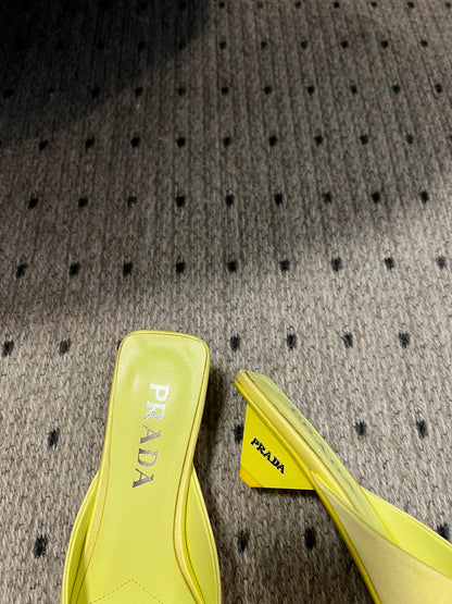 PD HEELS