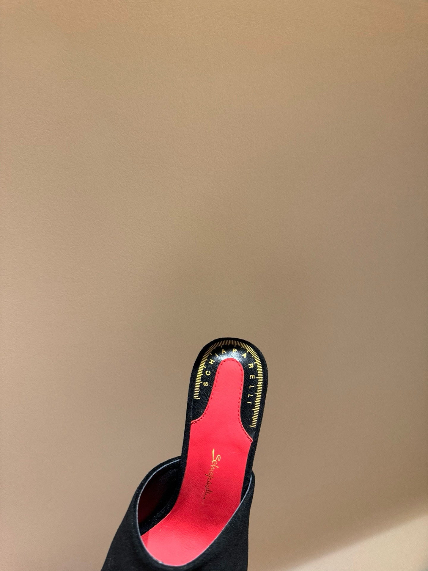 SCHIAPARELLI HEELS