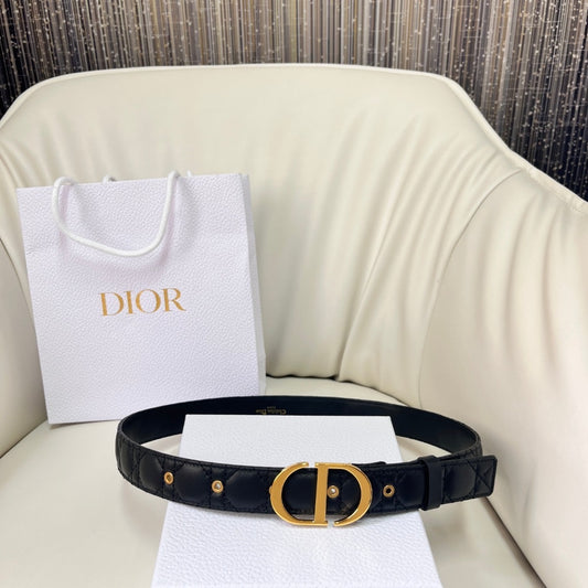 CD BELT
