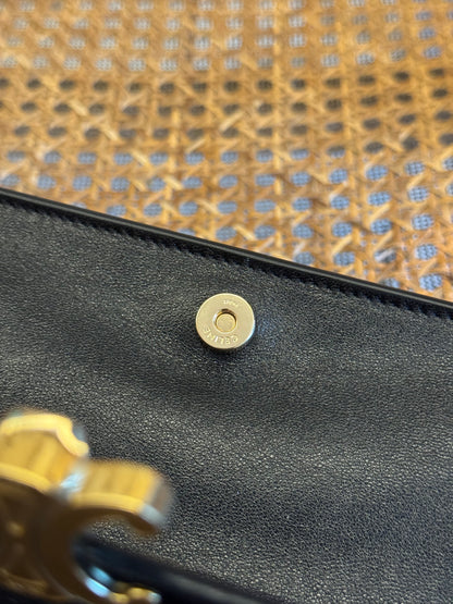 CEL TRIOMPHE BESACE BAG