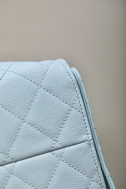 CC 25C BAG